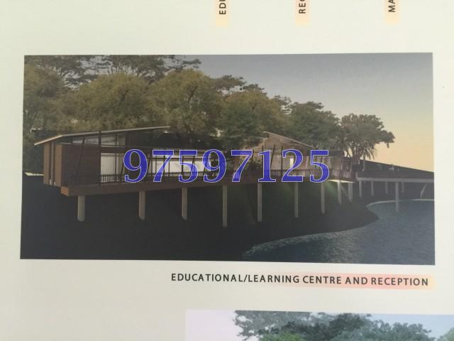Blk 543 Jelapang Road (Bukit Panjang), HDB Executive #104807352